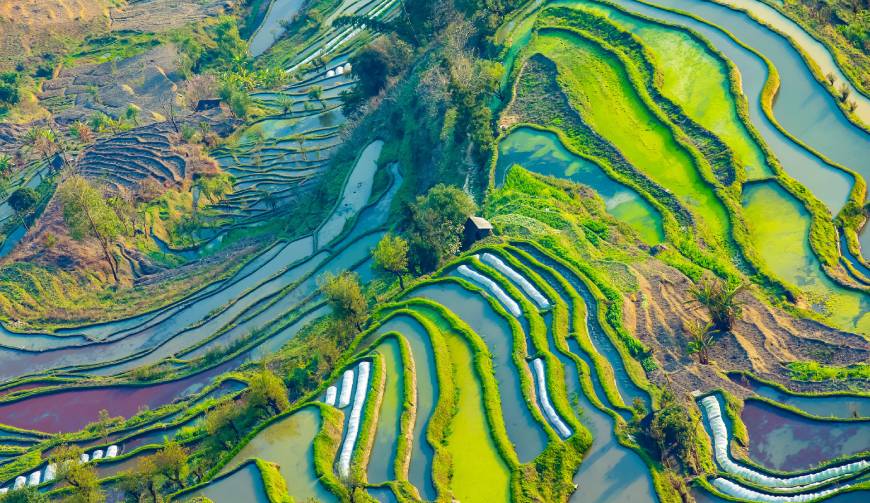 走进南皮县TVC拍摄：解锁本地化场景与创意镜头的完美融合